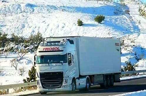 Friosol camiones